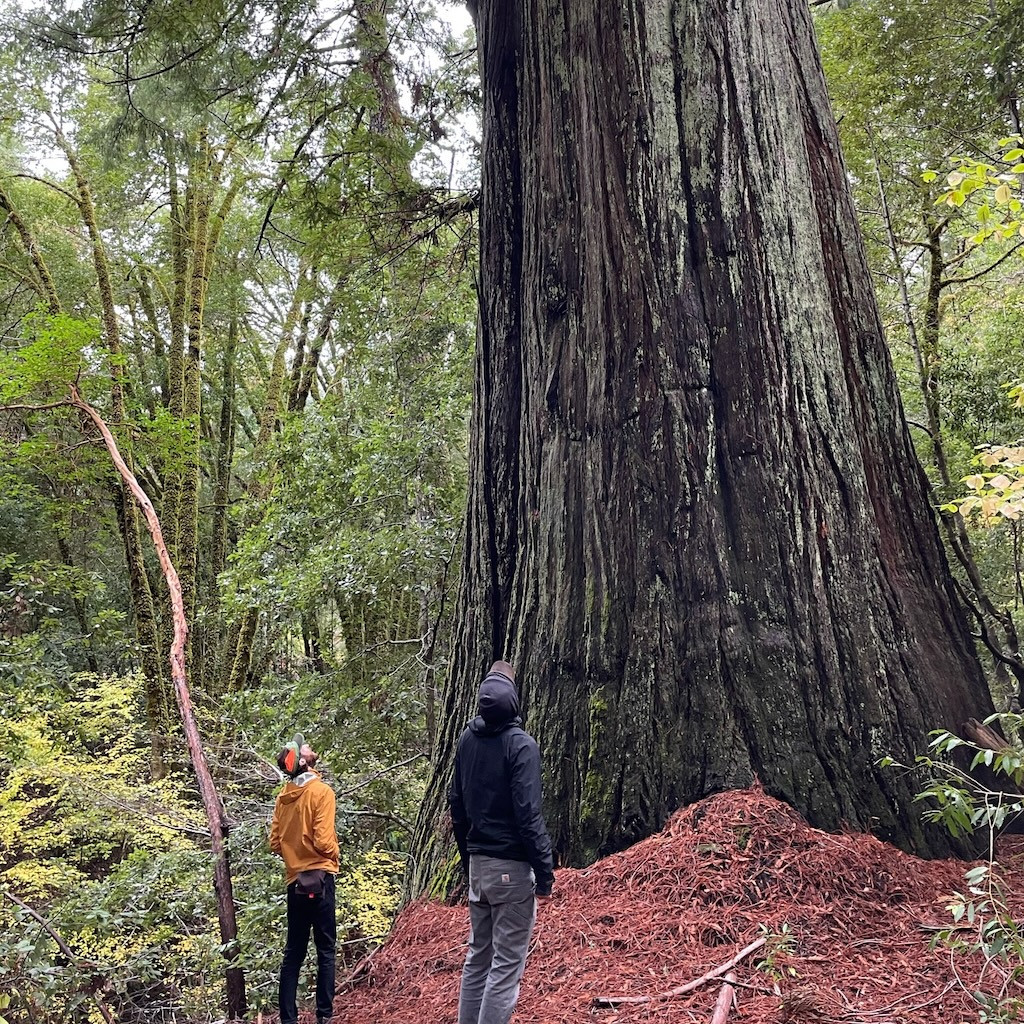 Humboldt Film Crew